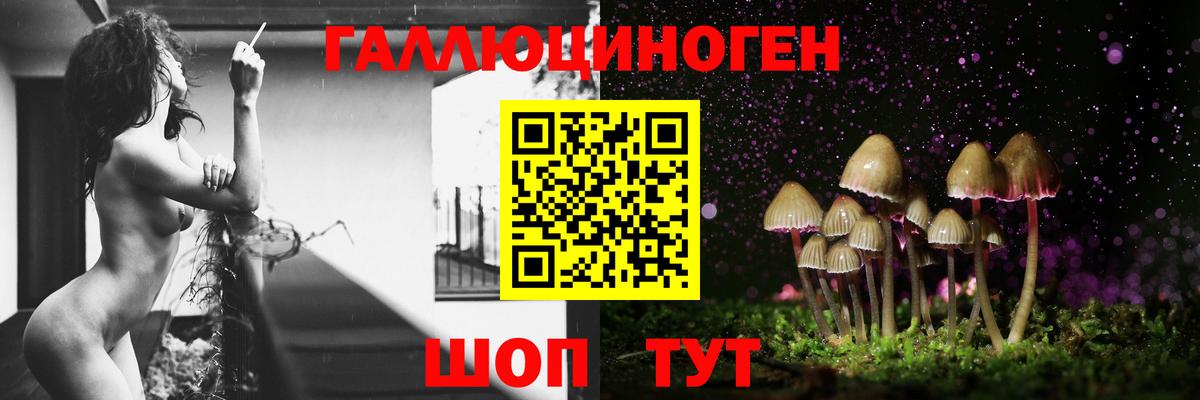 Галлюциногенные грибы Cubensis Алексеевка